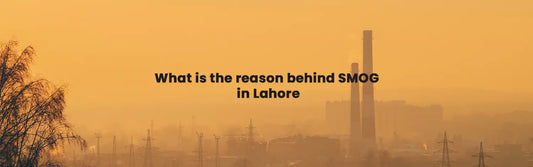 What is the reason behind SMOG in Lahore? Homoeopthic Remedies for it.